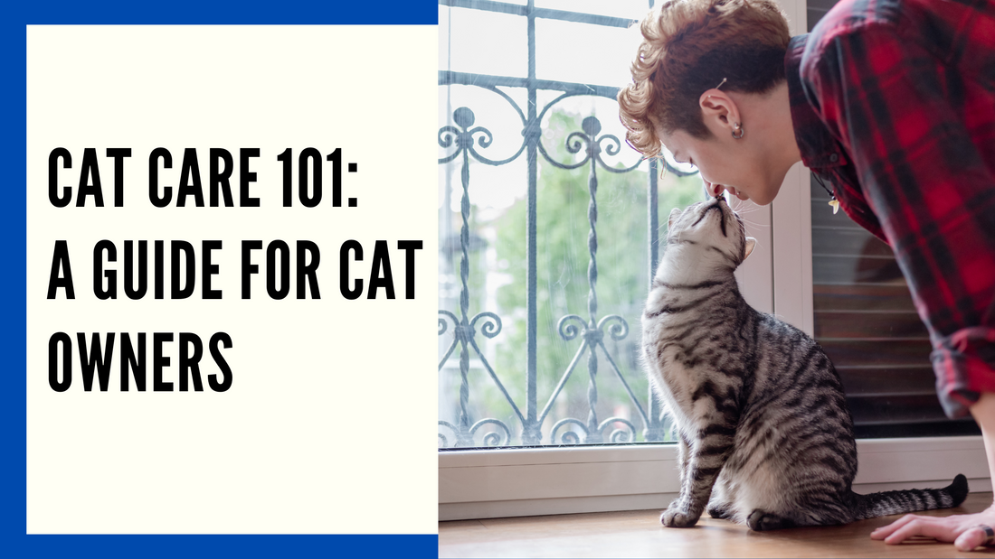 Cat Care: A Comprehensive Guide for Cat Owners