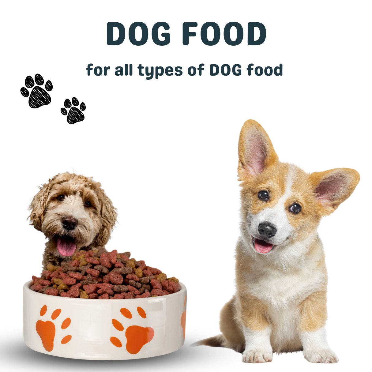 Dog Food