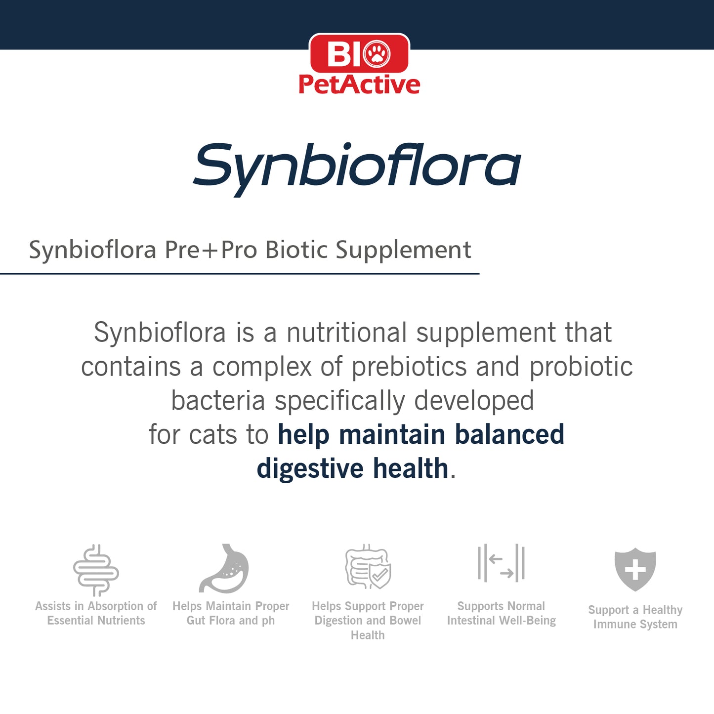 SYNBIOFLORA FOR CATS