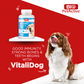 VITALI DOG