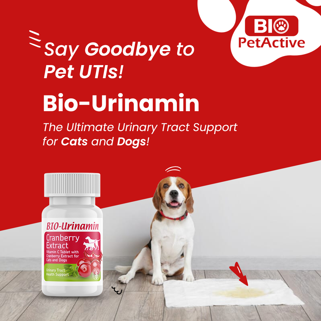 BIO URINAMIN