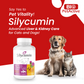 SILYCUMIN