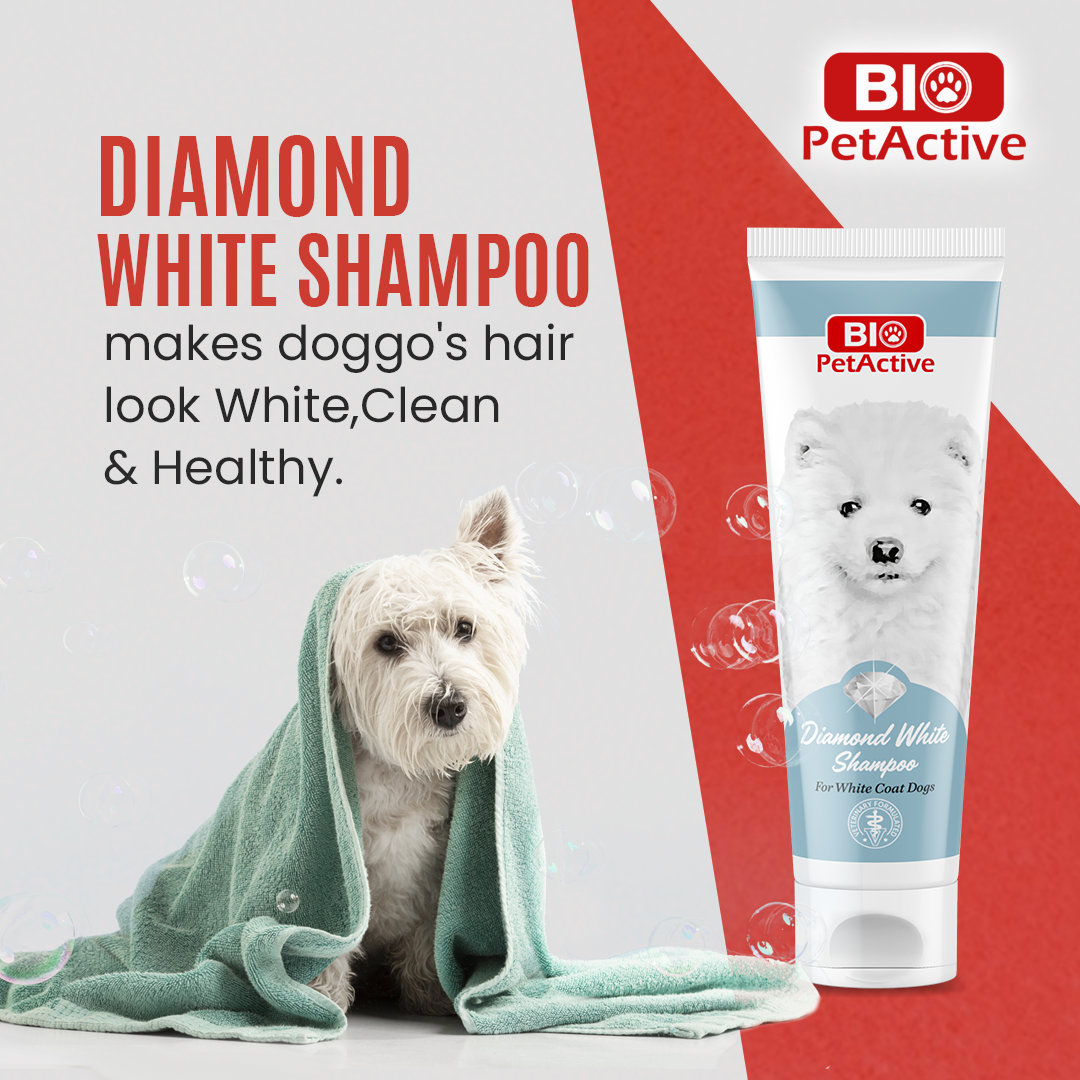 DIAMOND WHITE SHAMPOO