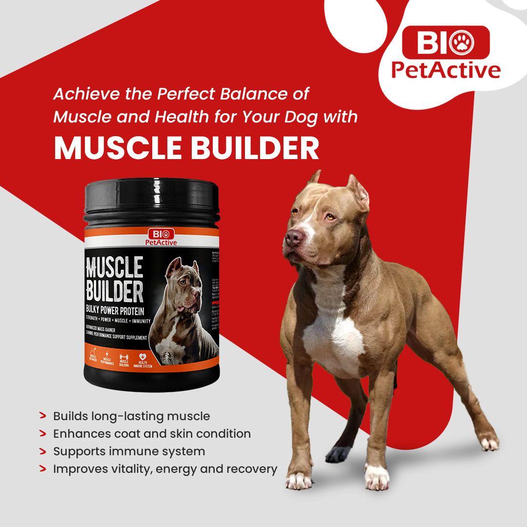 Build Muscle Best Dog Food For Pitbull Puppies To Gain Weight
