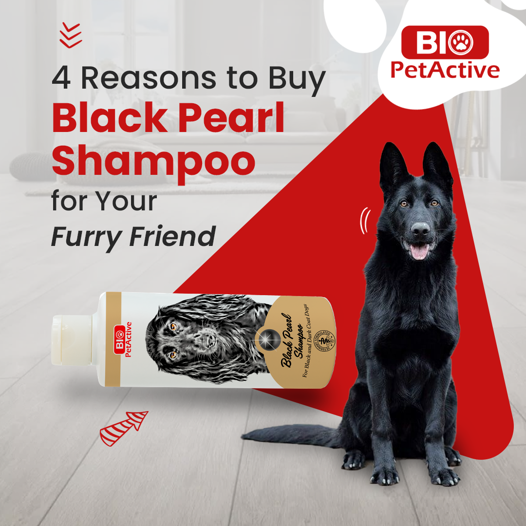 BLACK PEARL SHAMPOO