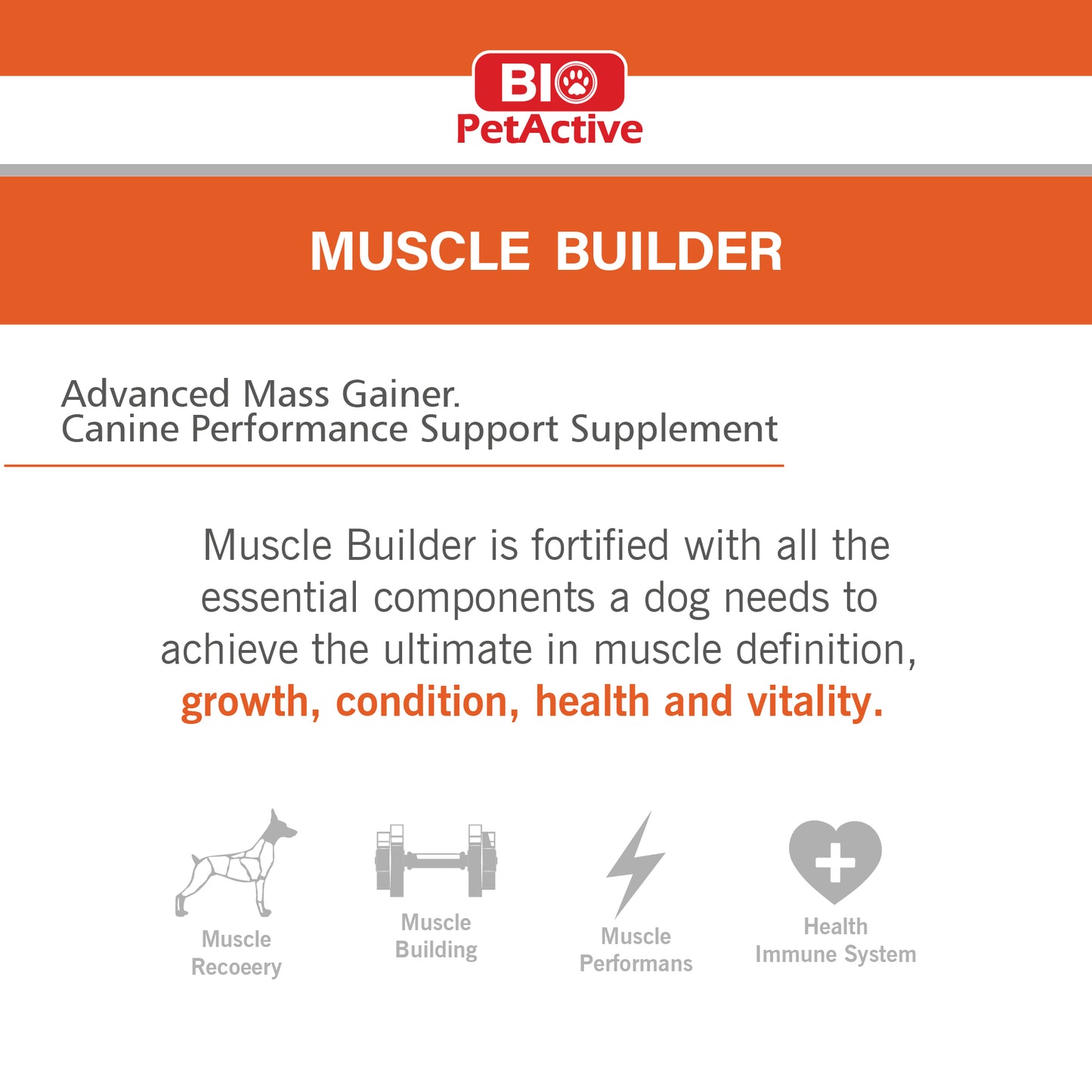 Muscle Builder