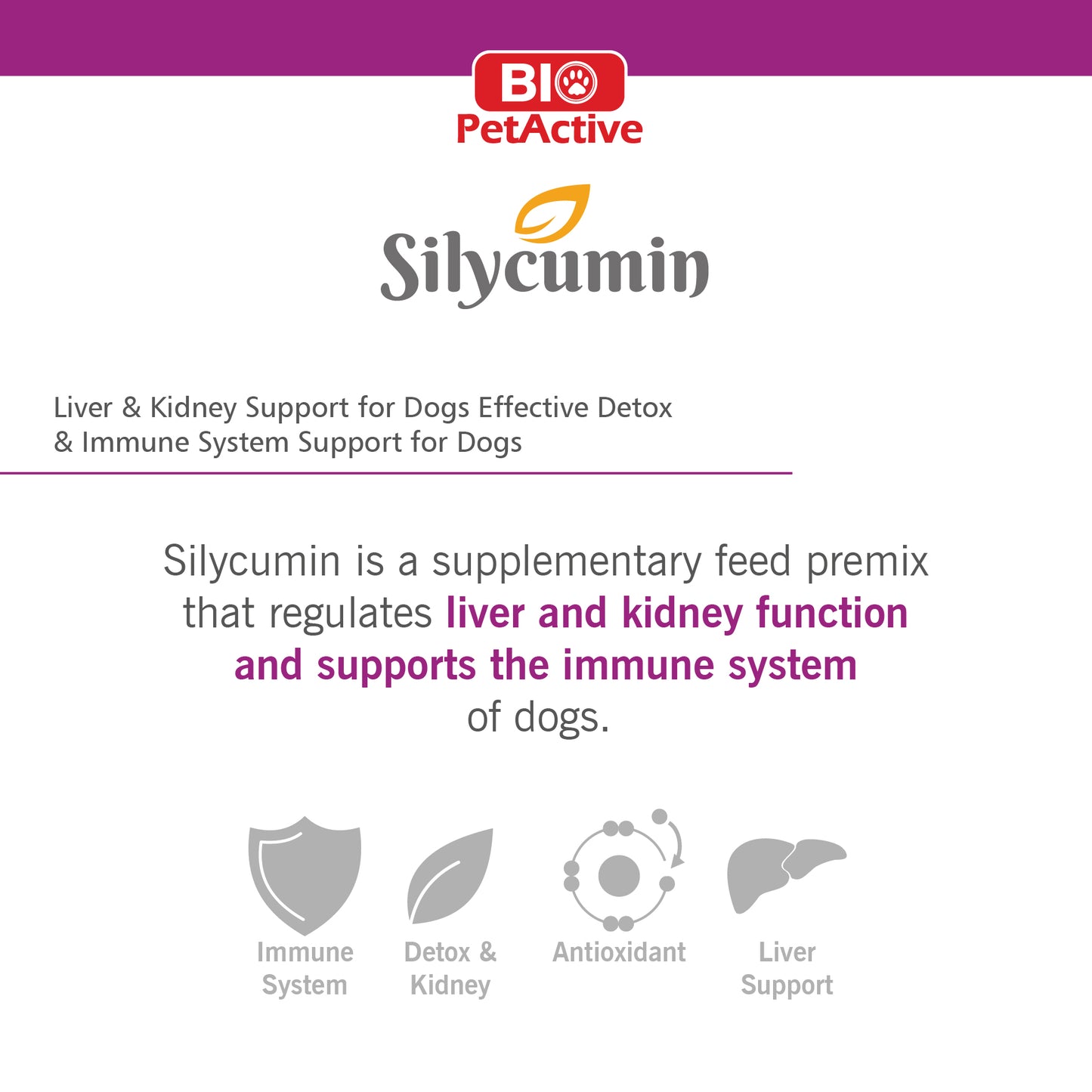 SILYCUMIN for Dogs