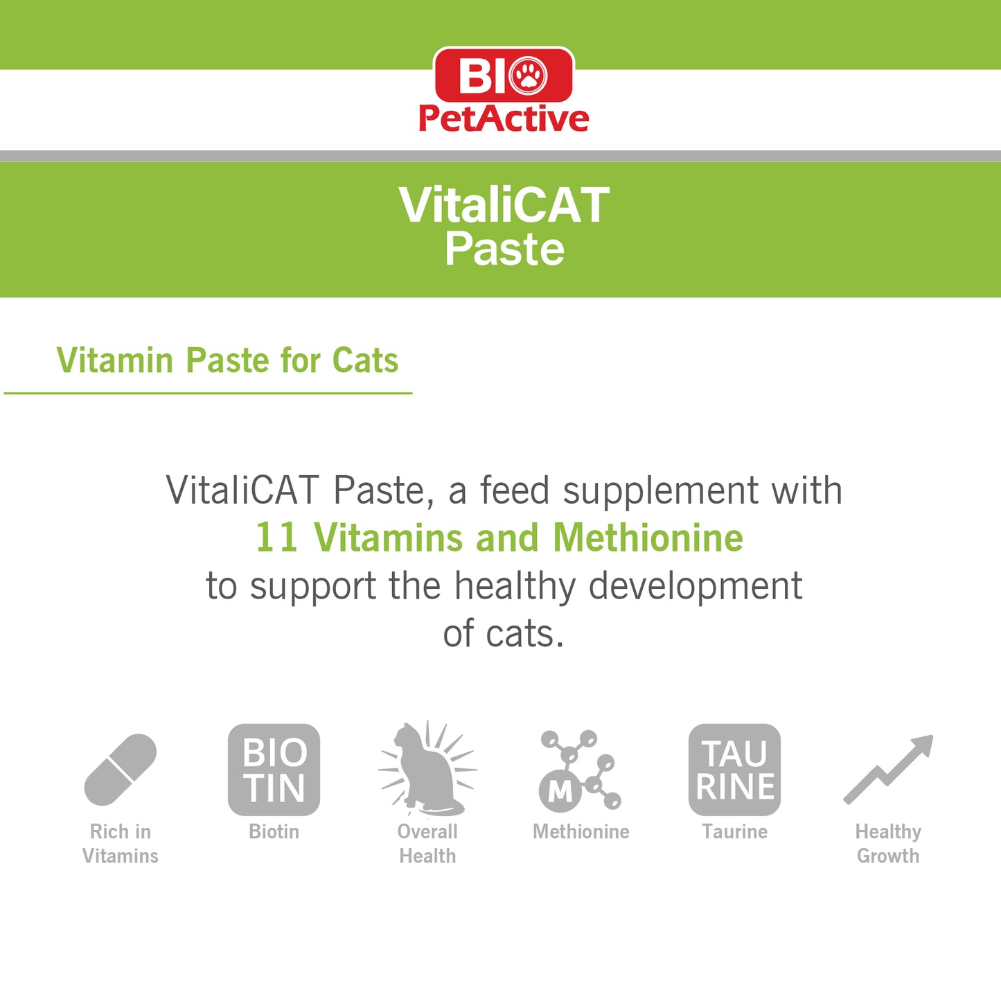 VITALI CAT PASTE