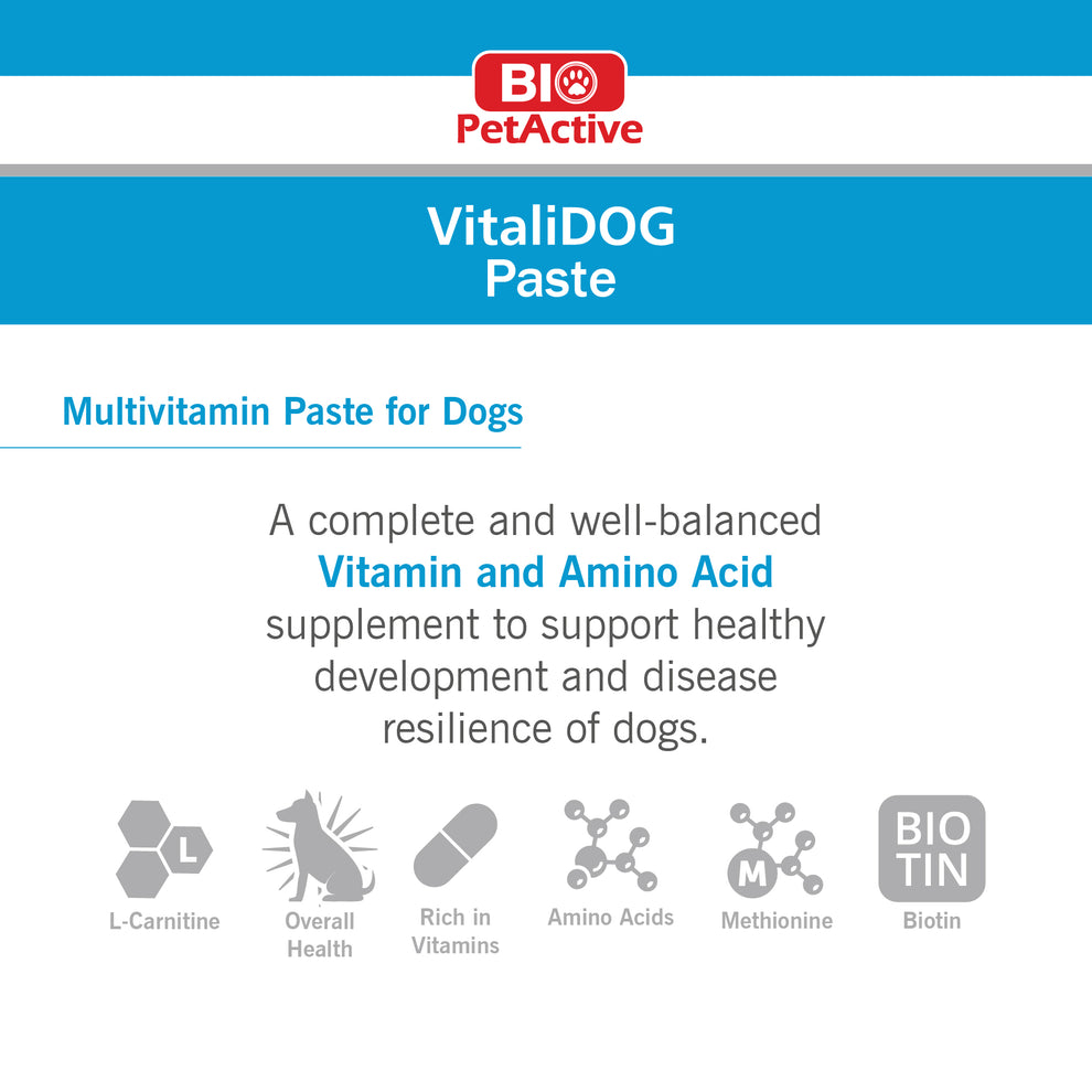 what does lipo c peptide do Unveiling the Benefits of L-Carnitine in Dog Food main image 1