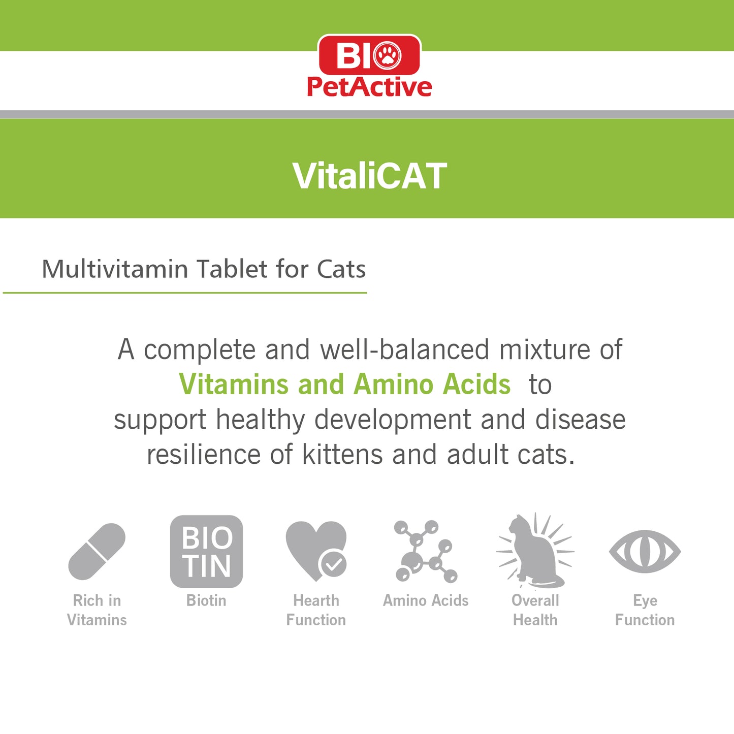 VITALI CAT