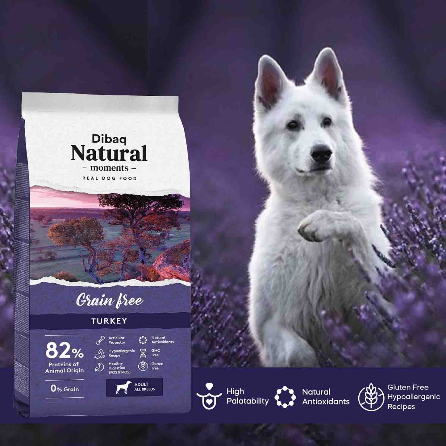 DIBAQ NATURAL MOMENTS GRAIN FREE DOG TURKEY (ADULT) - Vibrant Remedies