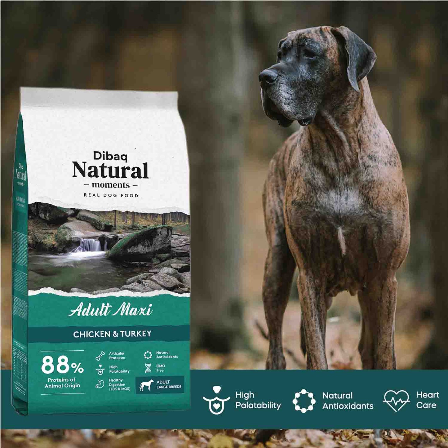 DIBAQ NATURAL MOMENTS DOG ADULT MAXI - Vibrant Remedies