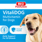 VITALI DOG