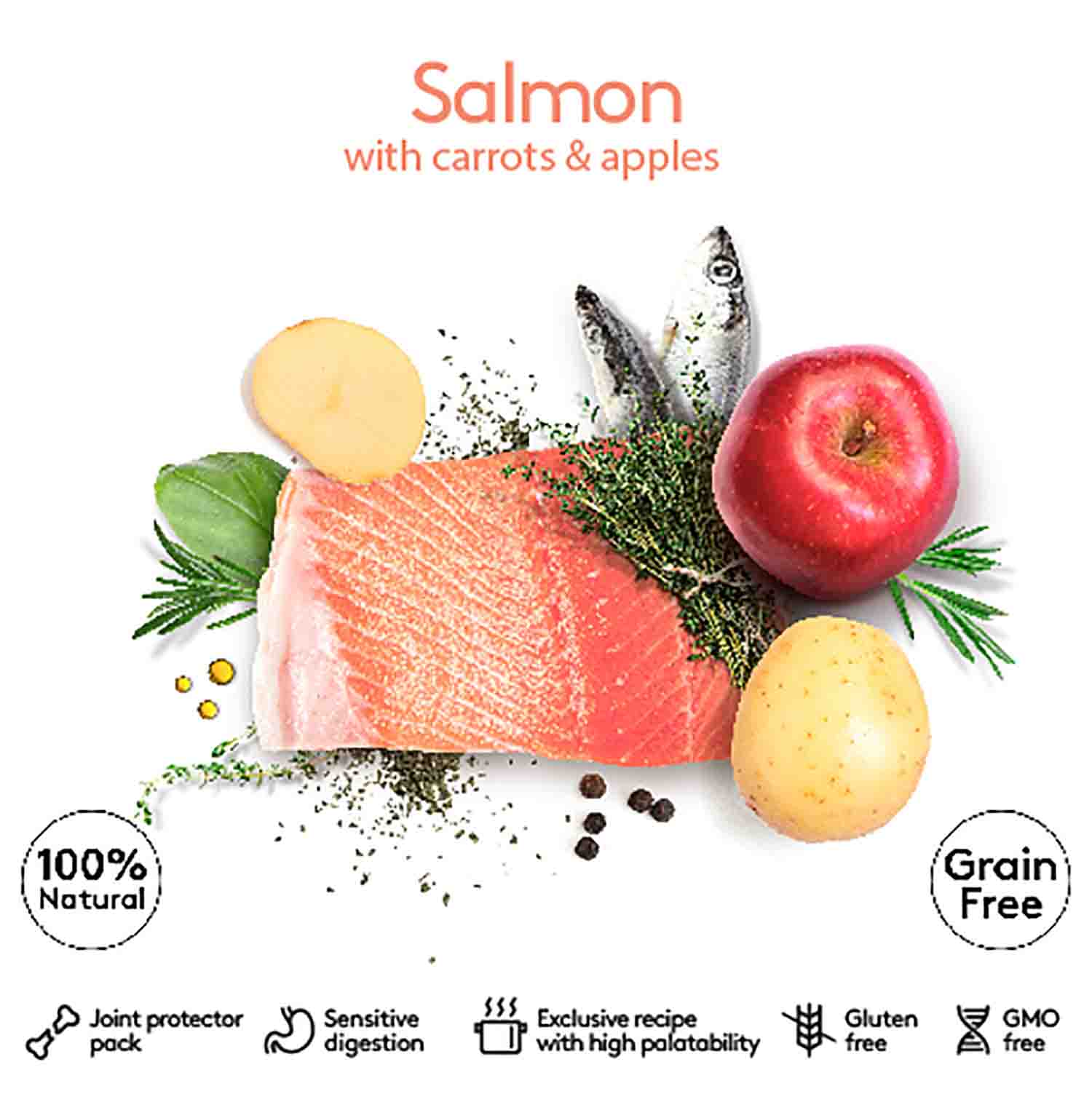 DIBAQ SENSE GRAIN FREE SALMON (ADULT) WET FOOD - Vibrant Remedies