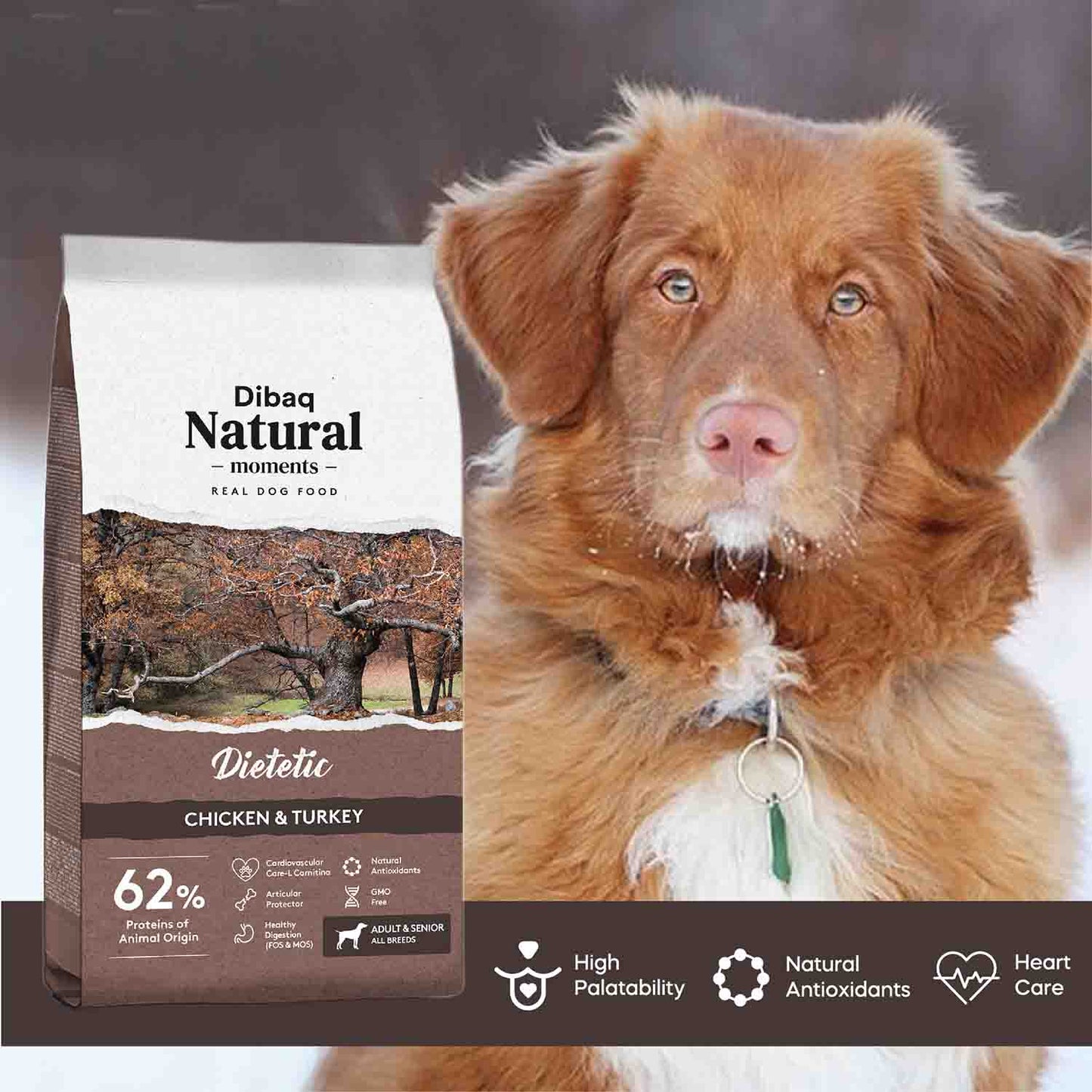 DIBAQ NATURAL MOMENTS DOG DIETETIC (ADULT) - Vibrant Remedies