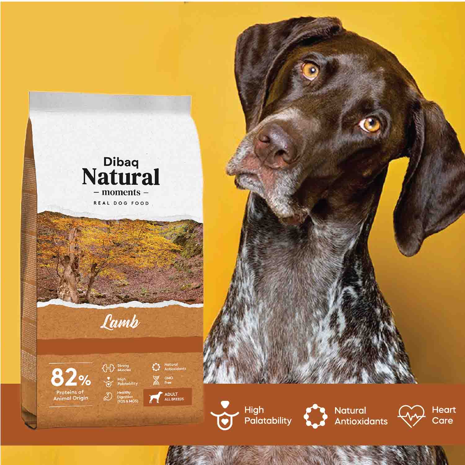 DIBAQ NATURAL MOMENTS DOG LAMB (ADULT) - Vibrant Remedies