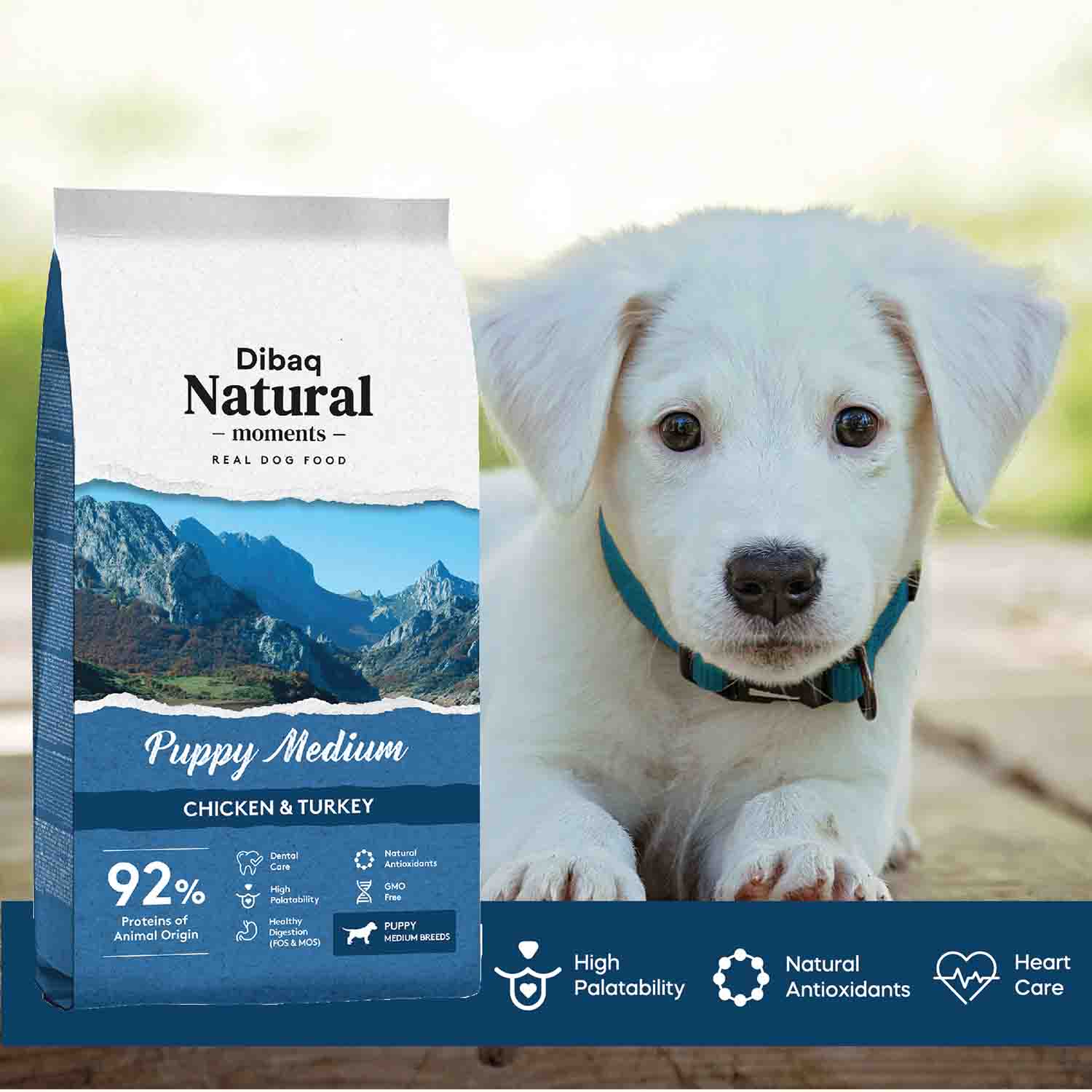 DIBAQ NATURAL MOMENTS DOG PUPPY MEDIUM - Vibrant Remedies