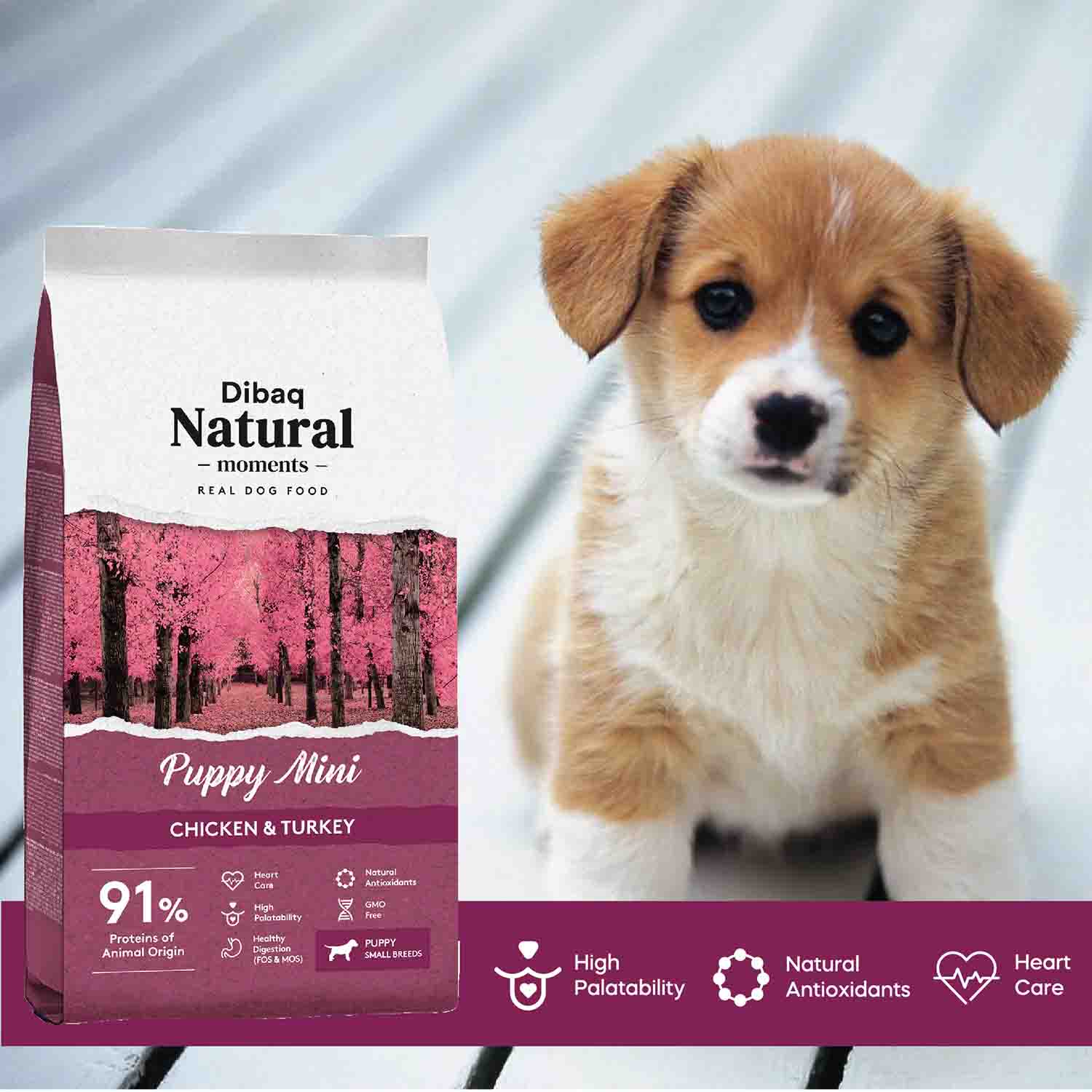 DIBAQ NATURAL MOMENTS DOG PUPPY MINI - Vibrant Remedies