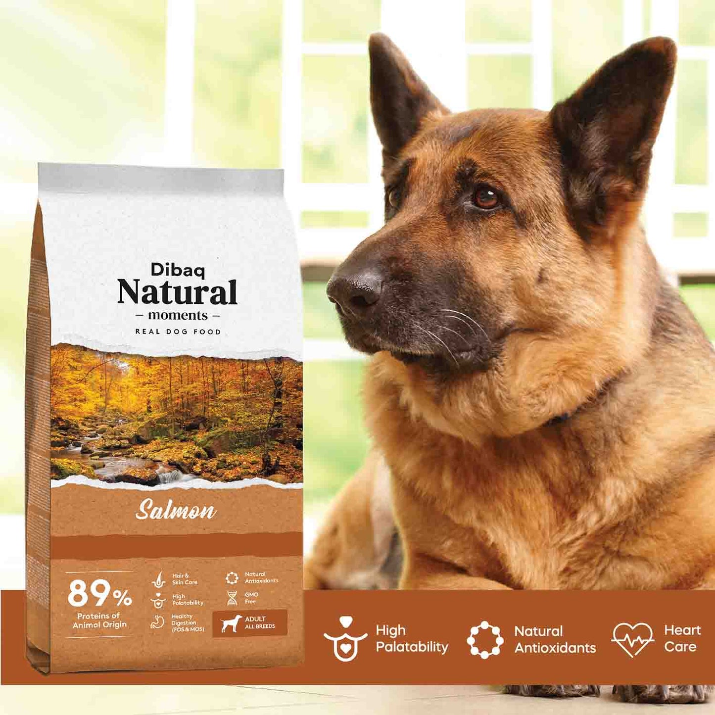 DIBAQ NATURAL MOMENTS DOG SALMON (ADULT) - Vibrant Remedies