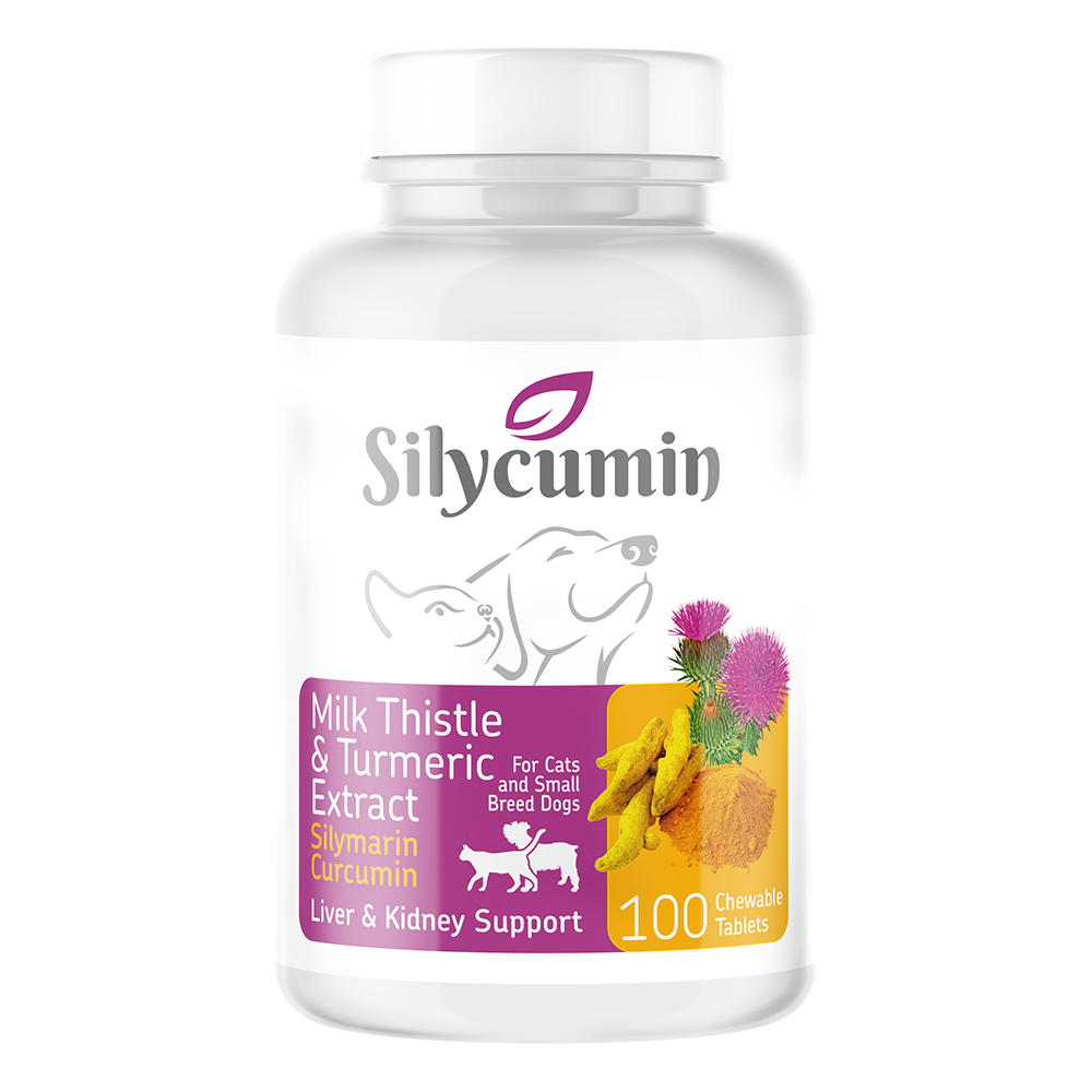 SILYCUMIN - Vibrant Remedies