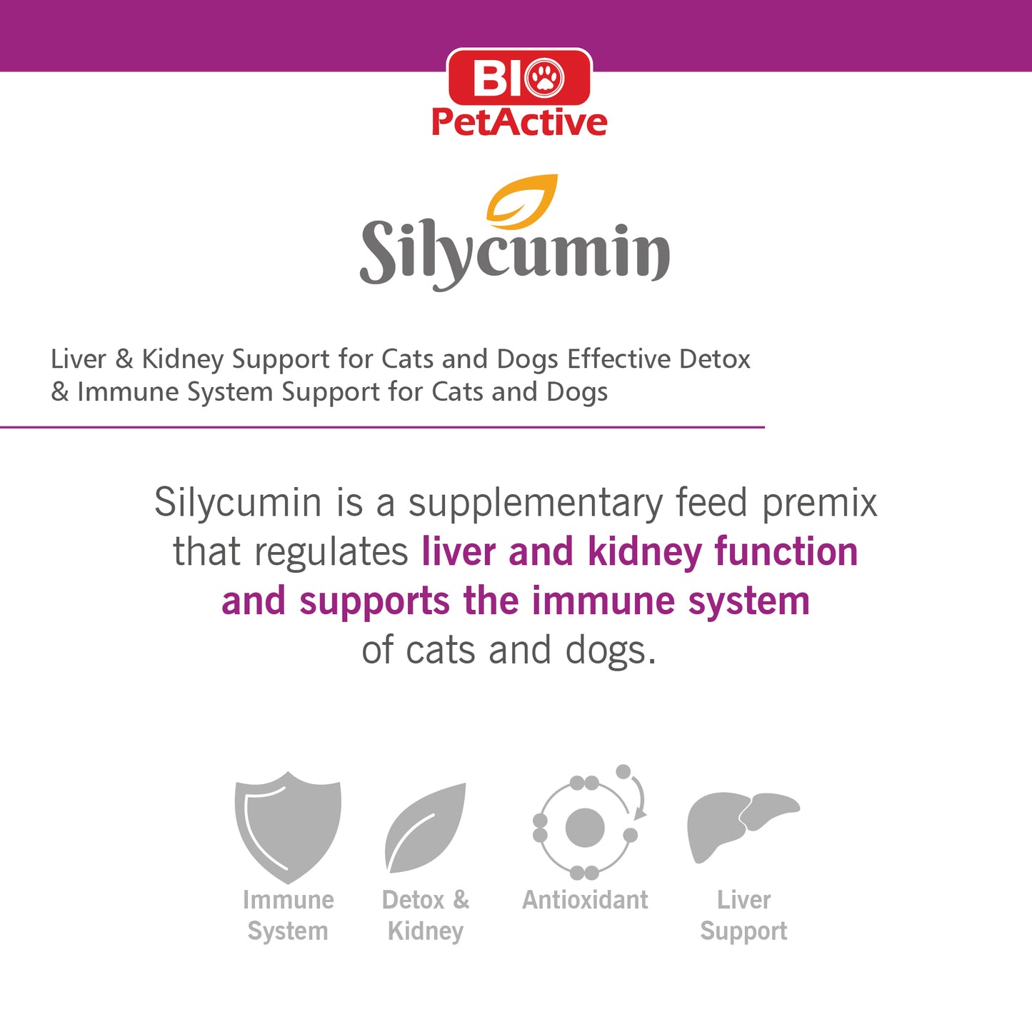 SILYCUMIN